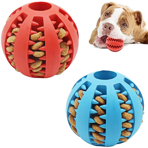 Pet Toys for Small Dogs - Interactive Elasticity Puppy Chew Toy Tooth Cleaning Rubber - Food Ball Toy